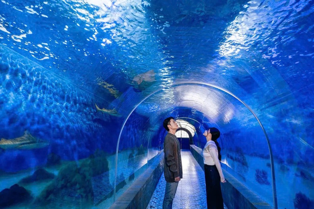 Viện hải dương học là một nơi đừng nên bỏ lỡ khi đến Nha Trang