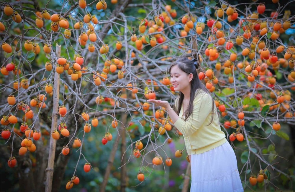 Tham quan các farm là trải nghiệm thú vị nên thử 