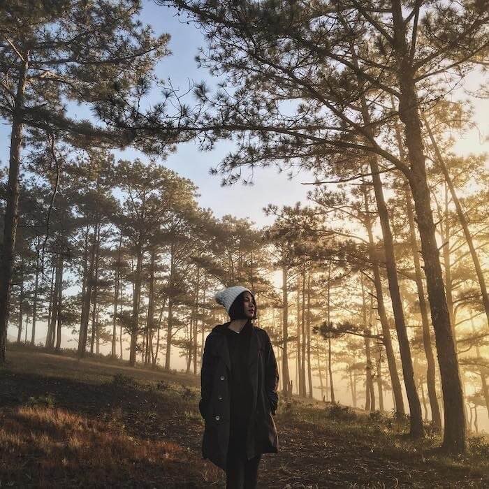 Đồi thông Nho Quan thường được lựa chọn để chụp ảnh cưới