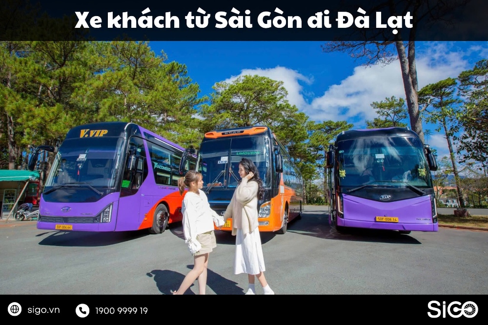 Review các hãng xe khách từ Sài Gòn đi Đà Lạt