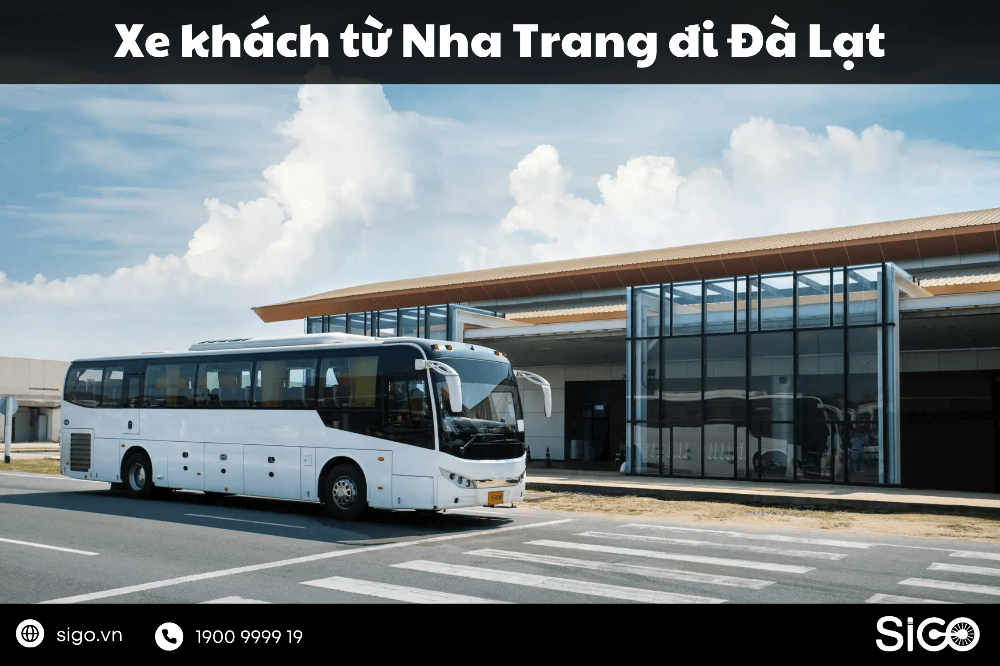 Tổng hợp các nhà xe khách Nha Trang đi Đà Lạt uy tín