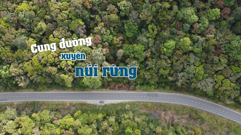 Gợi ý tuyến đường Nha Trang đi Đà Lạt