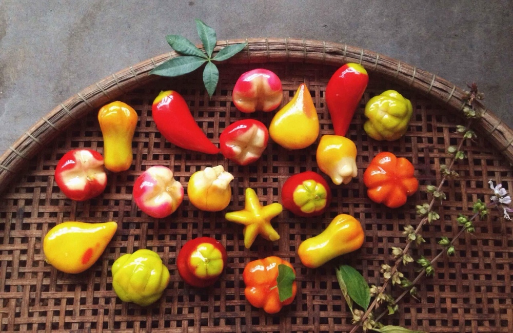 Bánh đậu xanh trái cây là món ăn dâng lên vua chúa thuở xưa